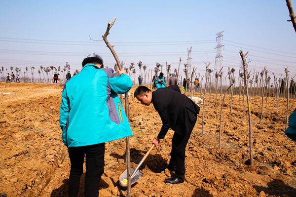 “攜手植樹，共創(chuàng)藍(lán)天”丨南京新華師生共筑新華育才林