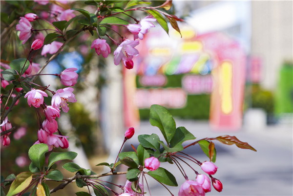 春暖花開，等你歸來——邀你云賞南新春景，以慰思念