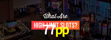 77pp.com